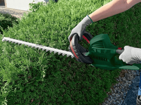 Cortasetos eléctrico