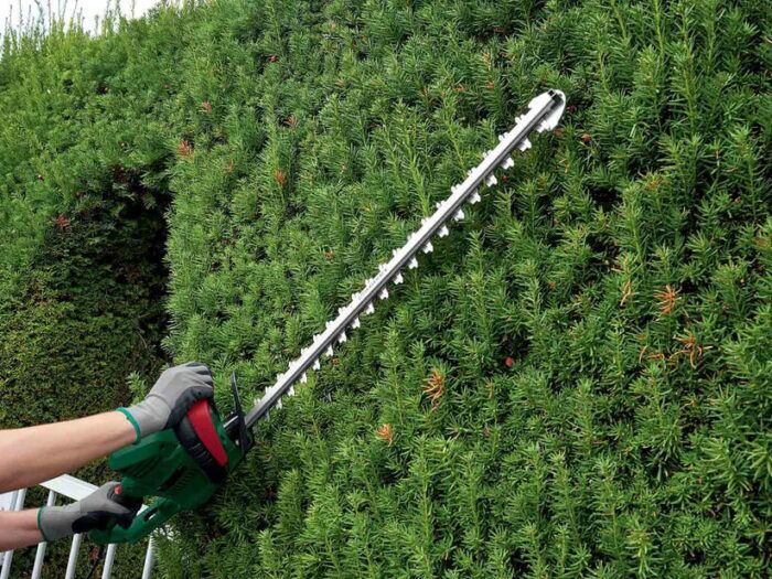 Cortasetos eléctrico